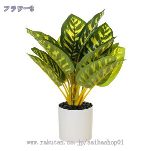 300~OFFN[| tFCNO[ lHϗtA ϗtAtFCN   }`J[ ~j  j Mtg v[g a JX J@j  lHϗtA ^ A 