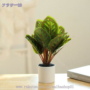 300~OFFN[| tFCNO[ lHϗtA ϗtAtFCN   }`J[ ~j  j Mtg v[g a JX J@j  lHϗtA ^ A 