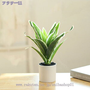 300~OFFN[| tFCNO[ lHϗtA ϗtAtFCN   }`J[ ~j  j Mtg v[g a JX J@j  lHϗtA ^ A 