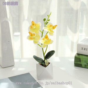 300~OFFN[| Ӓ tFCNO[ lHϗtA 񂹐AA  pXeJ[ A[eBtBV Jt lHϗtA tFCNO[  T{e 񂹐A 