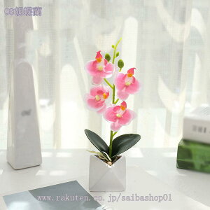 Ӓ tFCNO[ lHϗtA 񂹐AA  pXeJ[ A[eBtBV Jt lHϗtA tFCNO[  T{e 񂹐A b̂Ȃ C