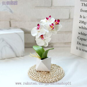 300~OFFN[| Ӓ tFCNO[ lHϗtA 񂹐AA  pXeJ[ A[eBtBV Jt lHϗtA tFCNO[  T{e 񂹐A 