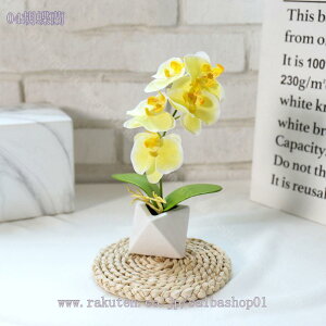 300~OFFN[| Ӓ tFCNO[ lHϗtA 񂹐AA  pXeJ[ A[eBtBV Jt lHϗtA tFCNO[  T{e 񂹐A 