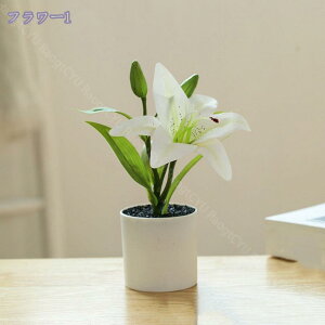 lHϗtA tFCNO[ lHϗtA 񂹐A T{e {g tFCNO[ ϗtA ̂Ȃ sv bsv CeA v[g Mtg vX`bN