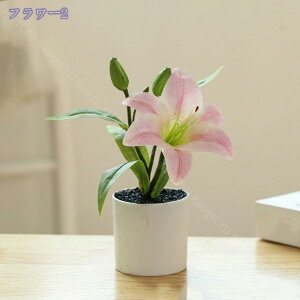 777~OFFN[| lHϗtA tFCNO[ lHϗtA 񂹐A T{e {g tFCNO[ ϗtA ̂Ȃ sv bsv CeA v[g Mt