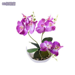 500~OFFN[| ϗtA ~j  fXNTCh IV ~jv^[ Ϗܗp CeA j v[g 蕨 Mtg zj V j j ~j A  A 