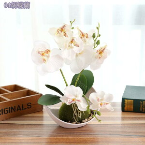 300~OFFN[| lHϗtA lHA CeA  A lߍ킹 p   Mt lHϗtA  tFCNO[ ͂Ȃ CeA O[ ϗtA tFC