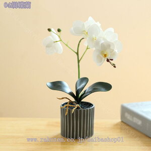 777~OFFN[| tFCNO[ lHϗtA ϗtAtFCN   }`J[ ~j  j Mtg v[g a JX J@j  lHϗtA ^ A 