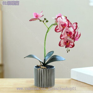 tFCNO[ lHϗtA ϗtAtFCN   }`J[ ~j  j Mtg v[g a JX J@j  lHϗtA ^ A CeA ^