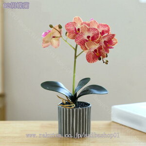 500~OFFN[| tFCNO[ ϗtA ~j CeA x_[ lHϗtA  A ~j CeA ͂Ȃ  ʏ   Ȃ ^ O[ A 