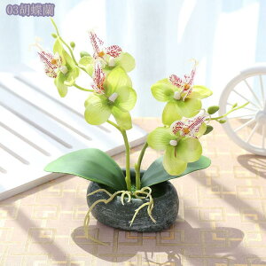 tFCNt[ lHϗtA ~jA tFCN  CeAO[ ~j|bg { ԗv炸 sv x_[ ItBX  Q rO[ oX[ L