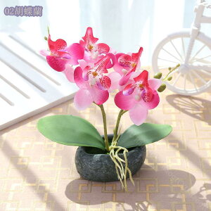 300~OFFN[| tFCNO[ Ӓ lHϗtA 񂹐AA  pXeJ[ A[eBtBV Jt lHϗtA tFCNO[  T{e 񂹐A 