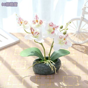 300~OFFN[| tFCNO[ Ӓ lHϗtA 񂹐AA  pXeJ[ A[eBtBV Jt lHϗtA tFCNO[  T{e 񂹐A 