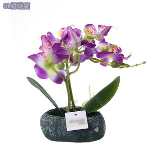 300~OFFN[| tFCNO[ Ӓ lHϗtA 񂹐AA  pXeJ[ A[eBtBV Jt lHϗtA tFCNO[  T{e 񂹐A 