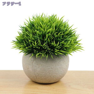 500~OFFN[| lHϗtA tFCNO[ ϗtA tFCN  ~j CeA 蕨  CeA O[~j|bg O[ ϗtA lHϗtA tFCNO[ e