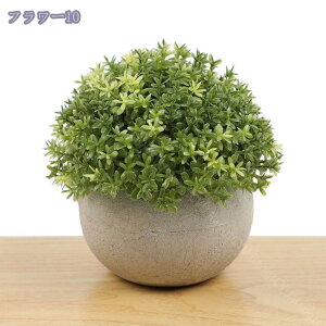 lHϗtA lHA   ͂Ȃ sv  L  ItBX    CeA Ƃ̑ ~ A 킢  ~j ^ ϗtA A 