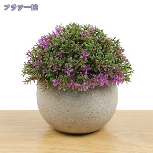 500~OFFN[| lHϗtA tFCNO[ ϗtA tFCN  ~j CeA 蕨  CeA O[~j|bg O[ ϗtA lHϗtA tFCNO[ e