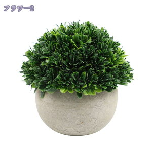 lHϗtA lHA   ͂Ȃ sv  L  ItBX    CeA Ƃ̑ ~ A 킢  ~j ^ ϗtA A 