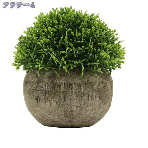 lHϗtA lHA   ͂Ȃ sv  L  ItBX    CeA Ƃ̑ ~ A 킢  ~j ^ ϗtA A 