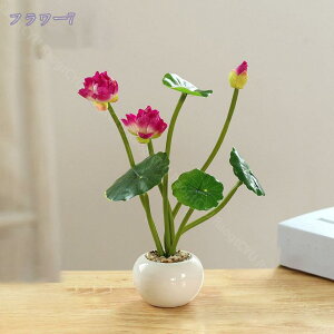 300~OFFN[| ϗtA ~j @ CeAO[  킢 ܂邢 tFCNO[ [J  A fXNTCh IV ~jv^[ Ϗܗp fBXvCp ϗt