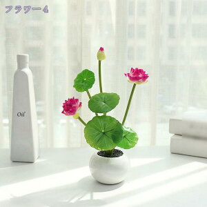 300~OFFN[| ϗtA ~j @ CeAO[  킢 ܂邢 tFCNO[ [J  A fXNTCh IV ~jv^[ Ϗܗp fBXvCp ϗt