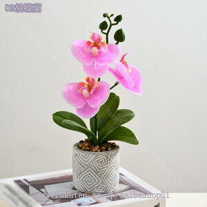 777~OFFN[| tFCNO[ lHϗtA ~jA tFCNO[  CeAO[ ~j|bg { ԗv炸 sv x_[ ItBX  Q r