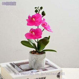tFCNO[ lHϗtA ~jA tFCNO[  CeAO[ ~j|bg { ԗv炸 sv x_[ ItBX  Q rO[ oX
