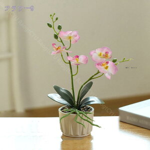 300~OFFN[| tFCNO[ lHϗtA ~jA tFCNO[  CeAO[ ~j|bg { ԗv炸 sv x_[ ItBX  Q r