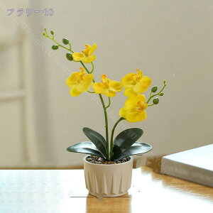 760~OFFN[| ϗtA C~e[VO[ ~j  tFCNO[ A CeA 킢 lH   v[g ̓ ̓Mtg Ղ 蕨 Ӓ V