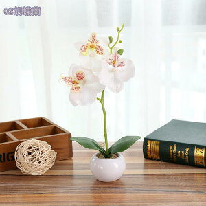 500~OFFN[| Ӓ  ~j A ϗtA tFCNO[ CeA ~jӒ Vzj JXj MtgɍœK v[g hV̓ Ӓ  A  AW