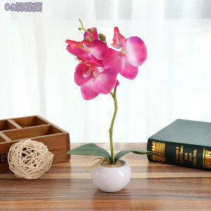 300~OFFN[| lHϗtA   |bgt CeAO[ Eh|bg L[u|bg ϗtA tFCNO[ ܂邢 ~j A  lHA CeA e[u