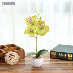 300�~OFF�N�[�|�� �l�H�ϗt�A�� �� ���� �|�b�g�t�� �C���e���A�O���[�� ���E���h�|�b�g �L���[�u�|�b�g �ϗt�A�� �t�F�C�N�O���[�� �܂��邢 �~�j ���A�� ���� �l�H�A�� �C���e���A �e�[�u��