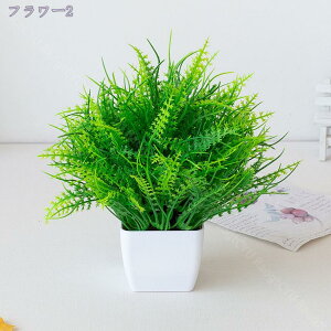 300~OFFN[| tFCNO[ ϗtA lHϗtA tFCNO[  lHA CeA  ȒPb炸 sv ItBX z[ fR[V CeA C