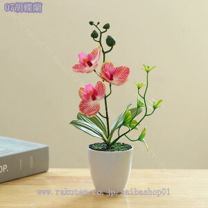 ϗtA CeAO[ ~j tFCNO[ ~jA A    ͂Ȃ  RpNg Eh|bg ی^ C~e[VO[  fXN 