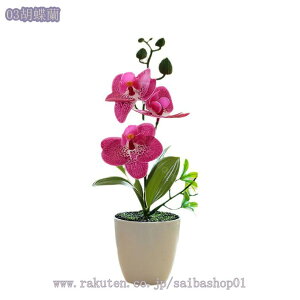 ϗtA CeAO[ ~j tFCNO[ ~jA A    ͂Ȃ  RpNg Eh|bg ی^ C~e[VO[  fXN 