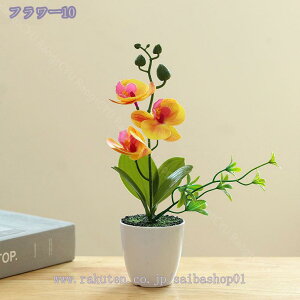 500~OFFN[| ϗtA CeAO[ ~j tFCNO[ ~jA A    ͂Ȃ  RpNg Eh|bg ی^ C~e[VO[ 