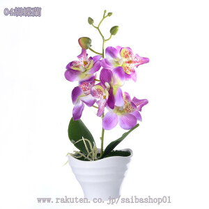 300~OFFN[| lHϗtA }`J[ ~j Ӓ CeA Be sN { Lb` ItBX iX Gߏ Be a sv bsv A ͂