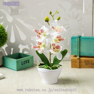 777~OFFN[| tFCNO[ ~jӒ tFCNt[ Vzj JXj JƏj lHϗtA ~j  ̓ ̓ hV̓ j Mtg   sv C