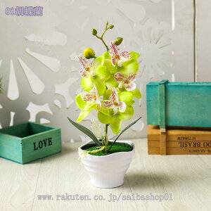 lHϗtA }`J[ ~j Ӓ CeA Be sN { Lb` ItBX iX Gߏ Be a sv bsv A ͂Ȃ v[g 