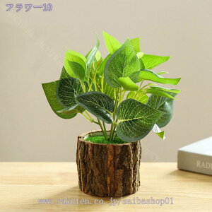 500~OFFN[| lHϗtA tFCNO[ Ӓ  CeA b炸 sv ItBX z[  Q oX[ fR[V ~j|bg CeAO[ 