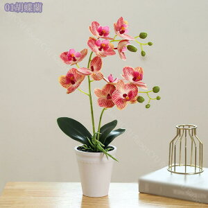 300~OFFN[| ϗtA CeAO[ ~j tFCNO[ A A   ͂Ȃ RpNg Eh|bg ی^ C~e[VO[  fXN ~