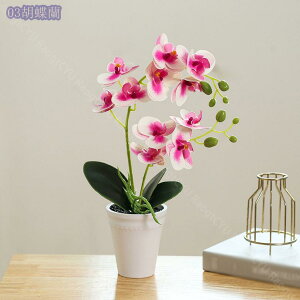 tFCNO[ ϗtA ~j ̓ JXj j  t[AWg ϗtA sN CG[ zCg Mtg  tFCNO[   Mtg v[g 