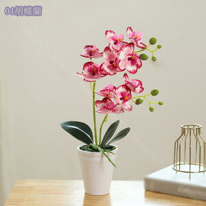 300~OFFN[| ϗtA CeAO[ ~j tFCNO[ A A   ͂Ȃ RpNg Eh|bg ی^ C~e[VO[  fXN ~