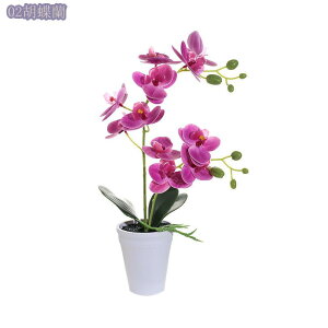 300~OFFN[| ϗtA CeAO[ ~j tFCNO[ A A   ͂Ȃ RpNg Eh|bg ی^ C~e[VO[  fXN ~