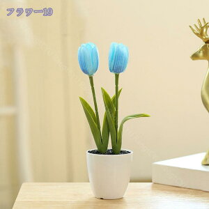 300~OFFN[| `[bv lHϗtA tFCNt[ ~jA  lHA CeA  b炸 sv ItBX z[   fR[V ~j {