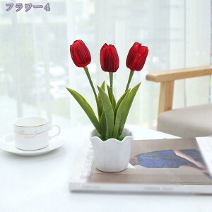 500~OFFN[| `[bv ItBX ̗Ή O[ ϗtA u CeA   lHϗtA rO ~j|bg O[ lHϗtA A lHA CeA 