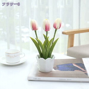 500~OFFN[| `[bv lHϗtA tFCNt[ ~jA  lHA CeA  b炸 sv ItBX z[   fR[V ~j {