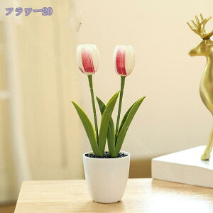 500~OFFN[| `[bv ItBX ̗Ή O[ ϗtA u CeA   lHϗtA rO ~j|bg O[ lHϗtA A lHA CeA 