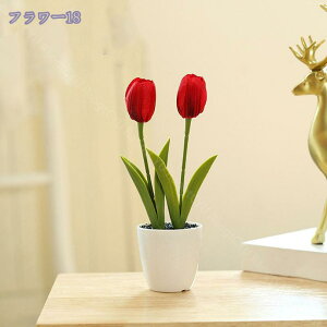 500~OFFN[| `[bv ItBX ̗Ή O[ ϗtA u CeA   lHϗtA rO ~j|bg O[ lHϗtA A lHA CeA 