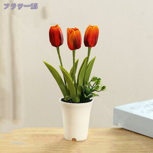 500~OFFN[| `[bv ItBX ̗Ή O[ ϗtA u CeA   lHϗtA rO ~j|bg O[ lHϗtA A lHA CeA 